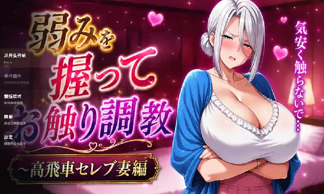 PC电脑【日系SLG/触摸/NTR】掌握弱点后抚摸调教.高傲贵妇篇 v0527骑-小强游戏